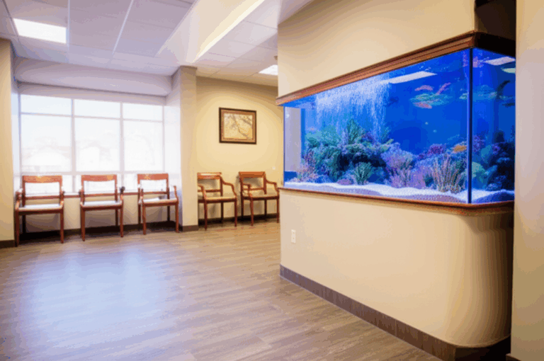 Why Do Dentist Offices Have Fish Tanks The Surprising Science of Serenity Patient Comfort